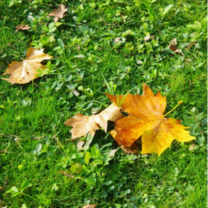 女生脱衣服干逼网站免费播放
